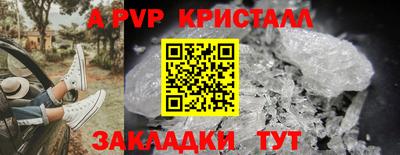 прущие грибы Дубна