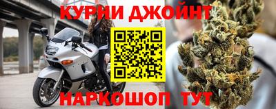 прущие грибы Дубна