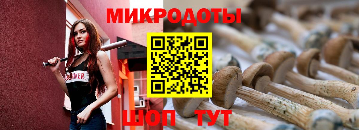 Псилоцибиновые грибы Psilocybe Евпатория