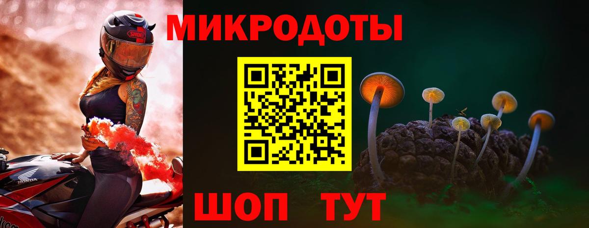 Евпатория  Галлюциногенные грибы GOLDEN TEACHER  Вход с VPN 